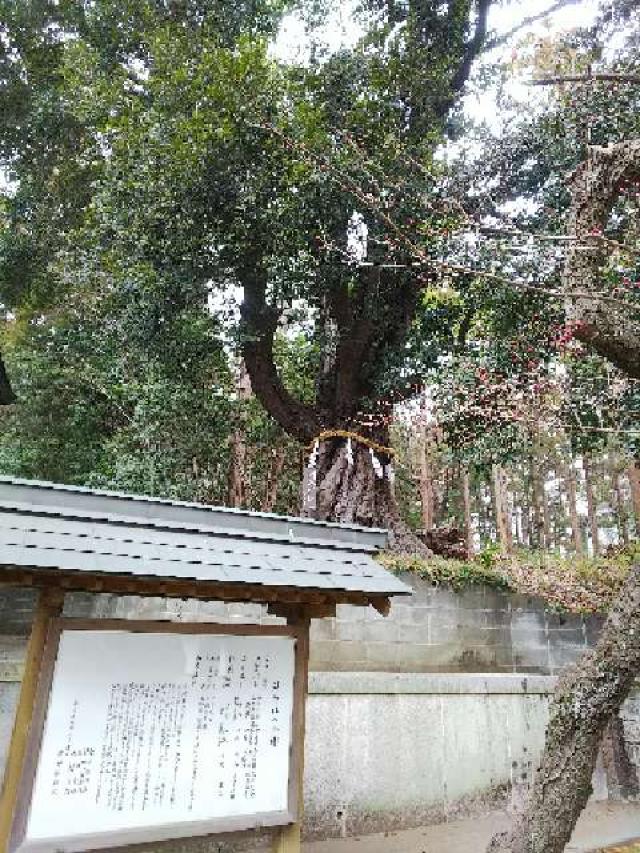 神奈川県横浜市青葉区鉄町1553 鐵神社の写真38