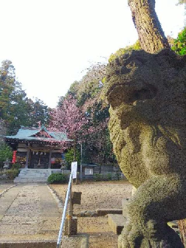 神奈川県横浜市青葉区鉄町1553 鐵神社の写真42