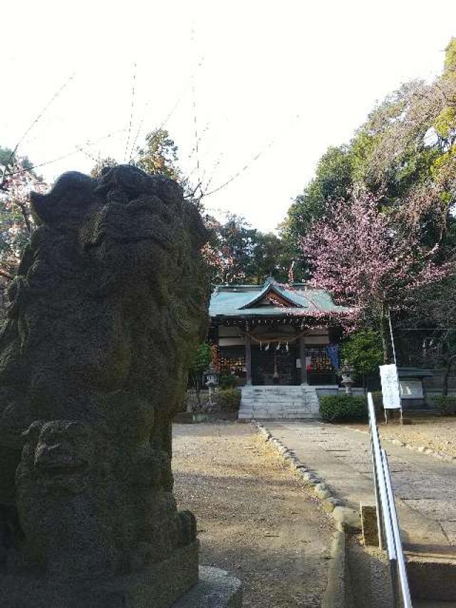 神奈川県横浜市青葉区鉄町1553 鐵神社の写真43