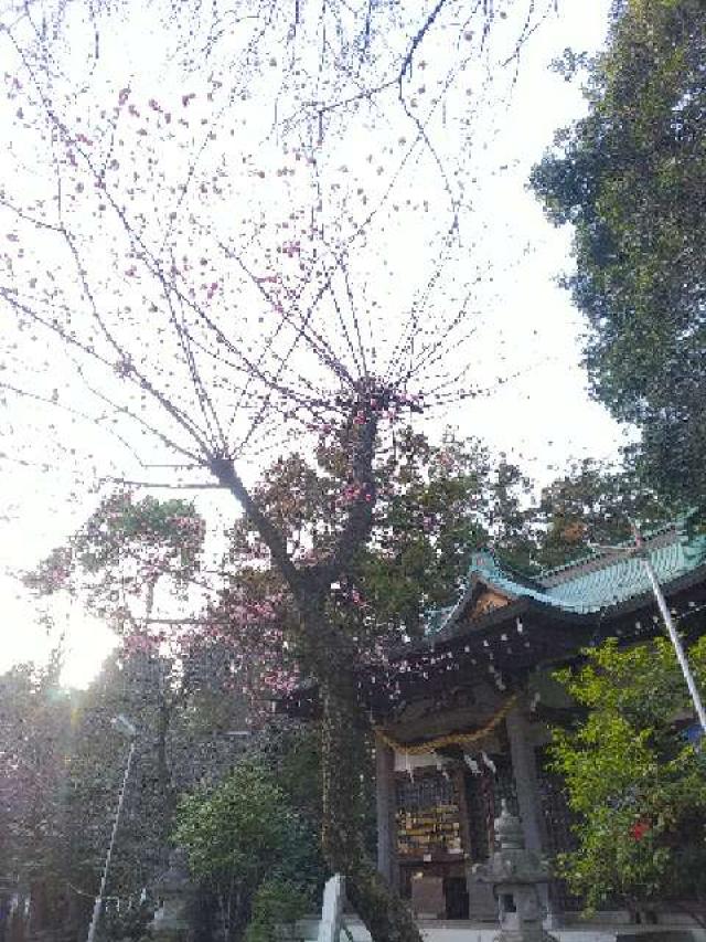 神奈川県横浜市青葉区鉄町1553 鐵神社の写真48