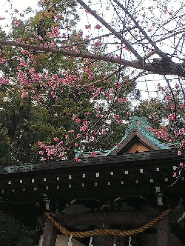 神奈川県横浜市青葉区鉄町1553 鐵神社の写真49