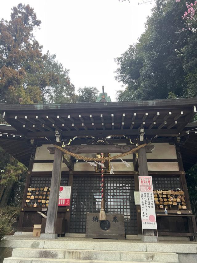鐵神社の参拝記録(⛩️🐉🐢まめ🐢🐉⛩️さん)