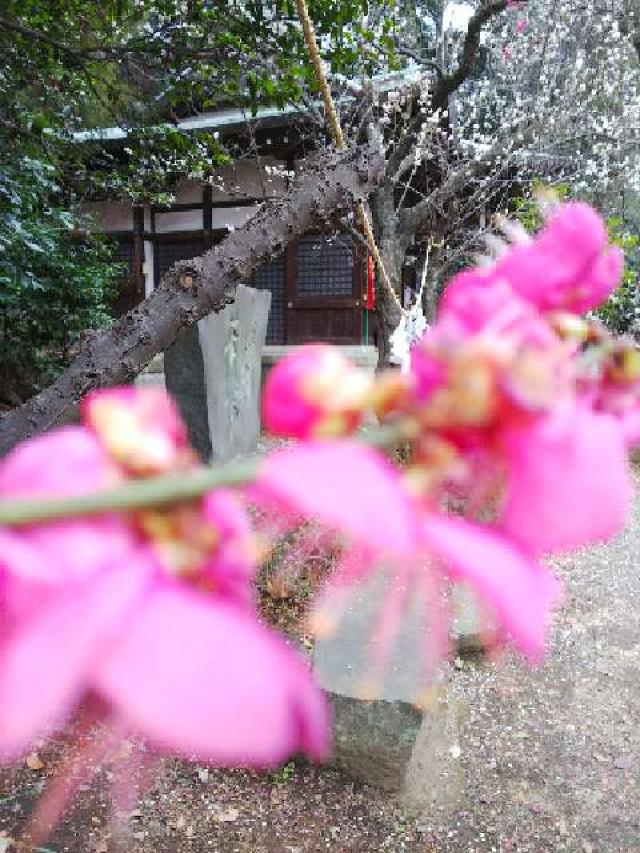 神奈川県横浜市青葉区鉄町1553鐵神社 天満宮の写真18