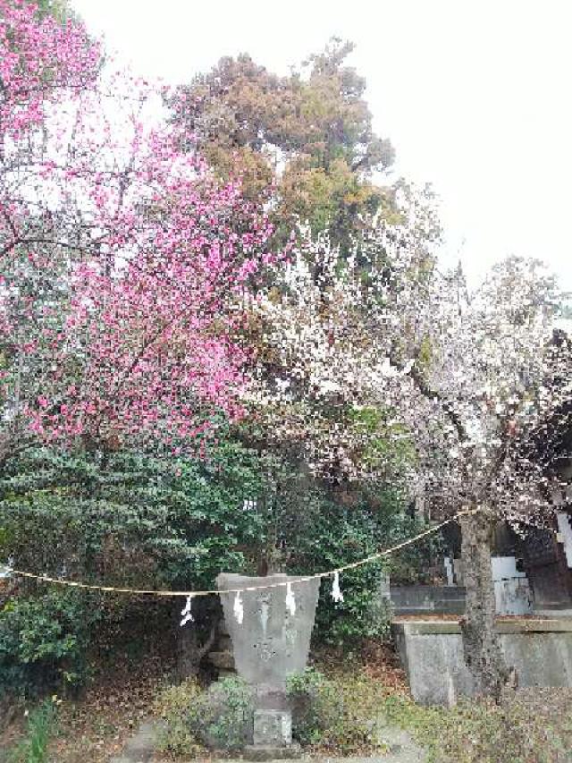 神奈川県横浜市青葉区鉄町1553鐵神社 天満宮の写真19