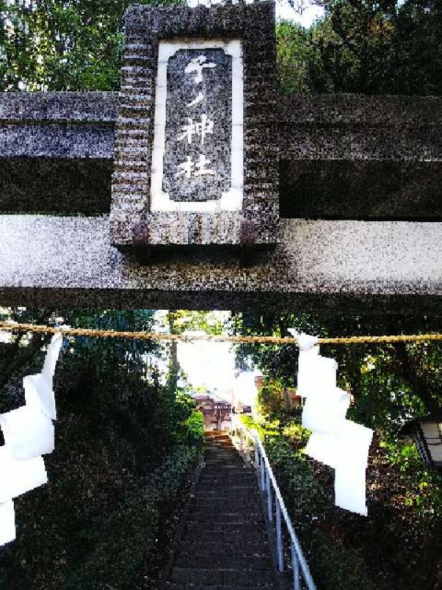 神奈川県横浜市青葉区たちばな台2ｰ22ｰ1 子ノ神社の写真5