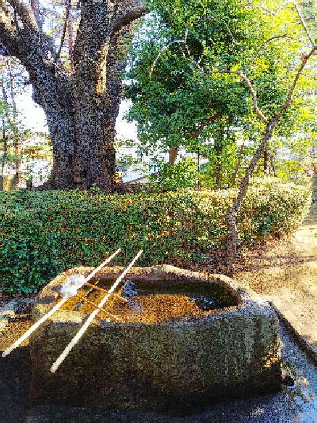 神奈川県横浜市青葉区たちばな台2ｰ22ｰ1 子ノ神社の写真18