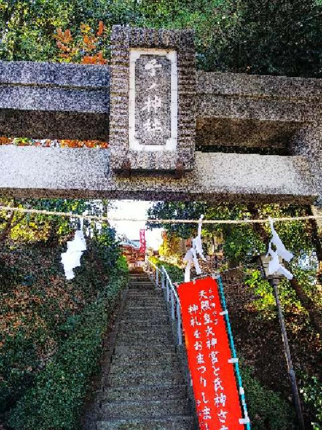 神奈川県横浜市青葉区たちばな台2ｰ22ｰ1 子ノ神社の写真22