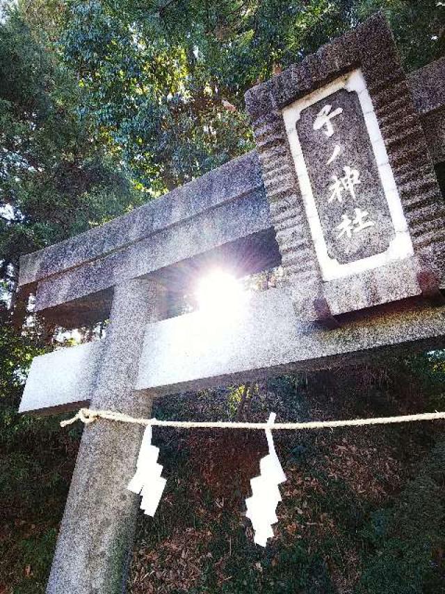 神奈川県横浜市青葉区たちばな台2ｰ22ｰ1 子ノ神社の写真42
