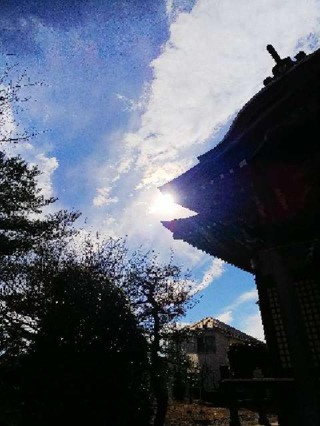 神奈川県横浜市青葉区たちばな台2ｰ22ｰ1 子ノ神社の写真44