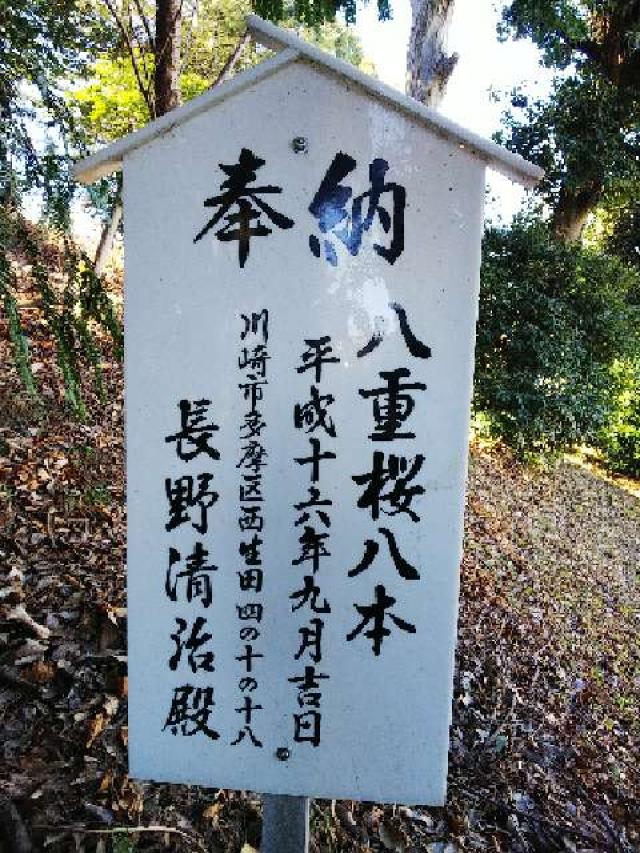 神奈川県横浜市青葉区たちばな台2ｰ22ｰ1 子ノ神社の写真50
