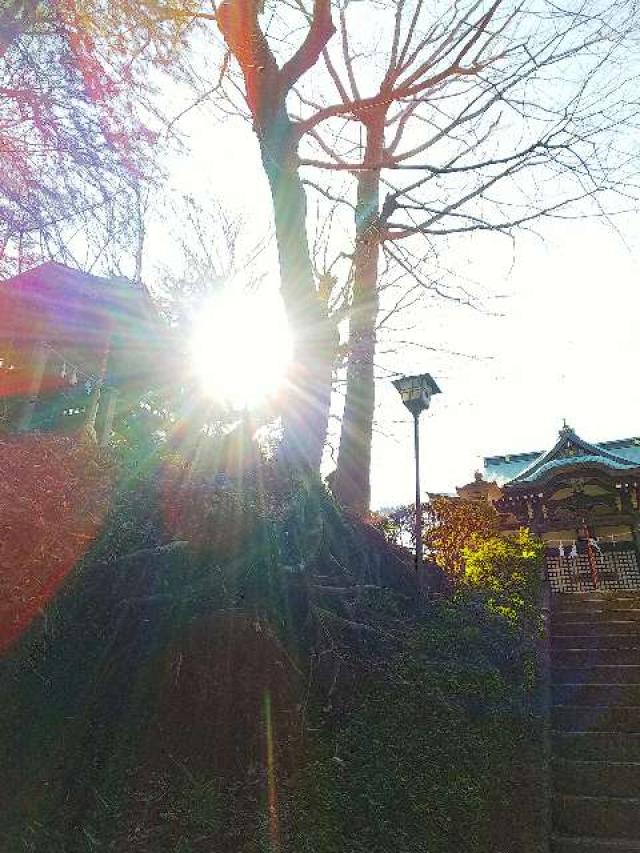 神奈川県横浜市青葉区たちばな台2ｰ22ｰ1 子ノ神社の写真61