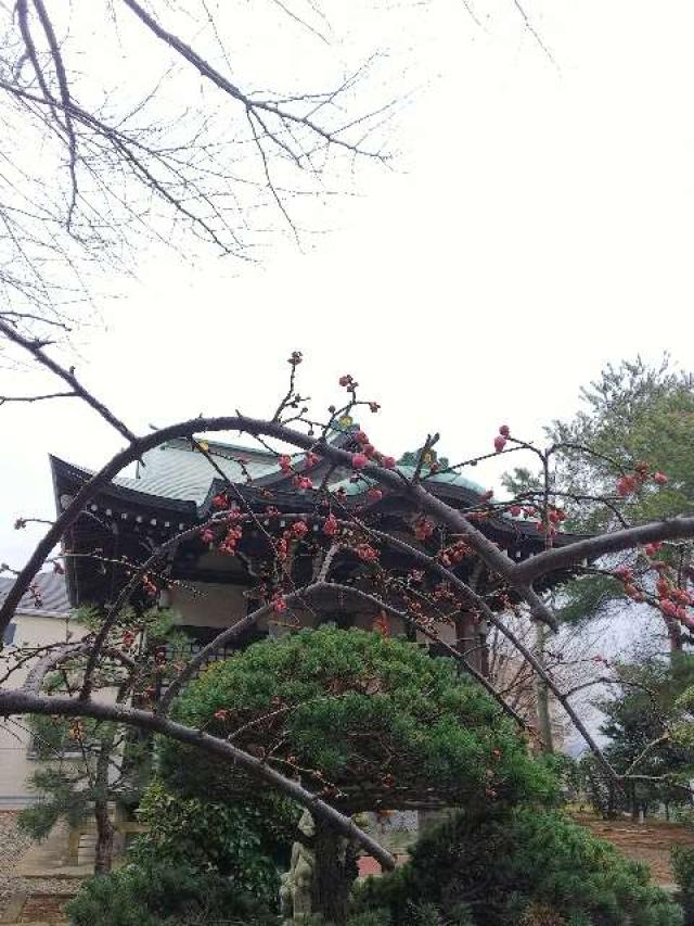 神奈川県横浜市青葉区たちばな台2ｰ22ｰ1 子ノ神社の写真63