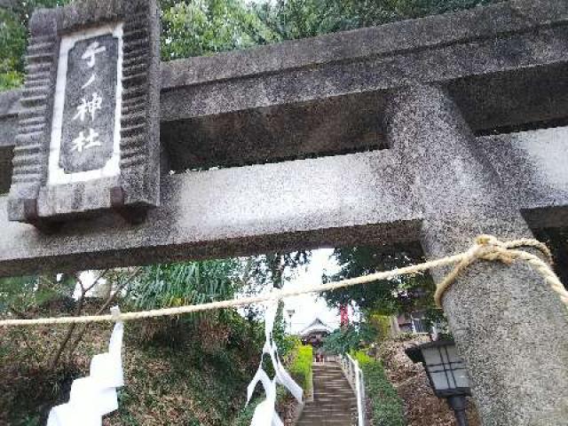 神奈川県横浜市青葉区たちばな台2ｰ22ｰ1 子ノ神社の写真68