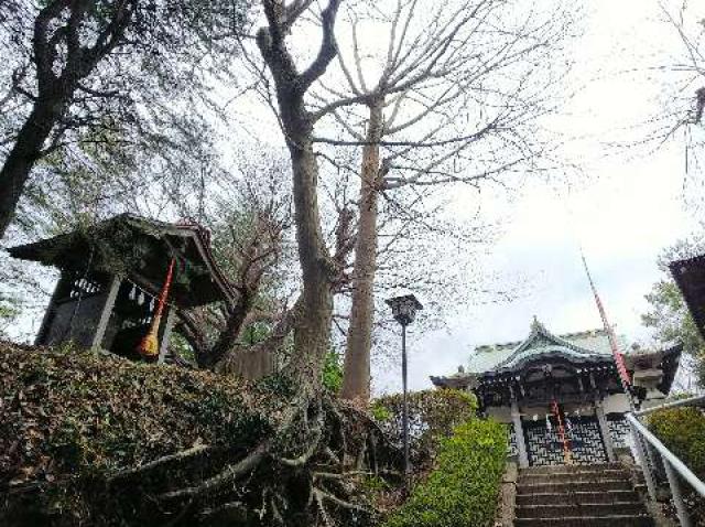 神奈川県横浜市青葉区たちばな台2ｰ22ｰ1 子ノ神社の写真70