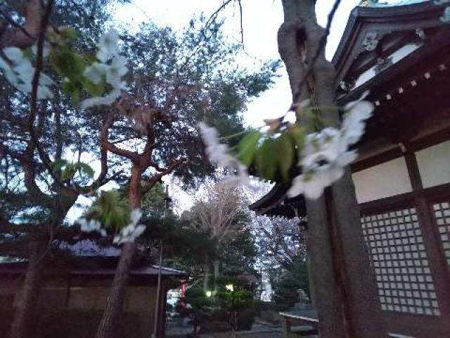 神奈川県横浜市青葉区たちばな台2ｰ22ｰ1 子ノ神社の写真83