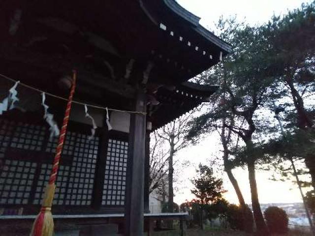神奈川県横浜市青葉区たちばな台2ｰ22ｰ1 子ノ神社の写真84