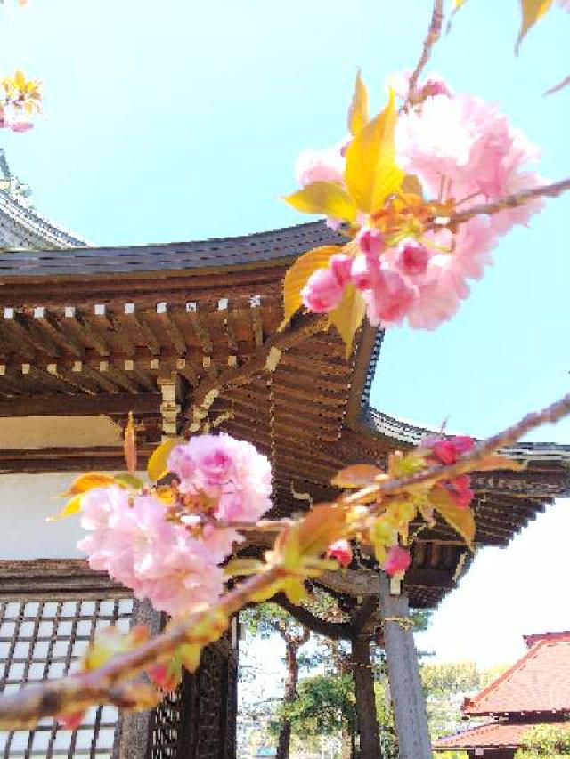 神奈川県横浜市青葉区たちばな台2ｰ22ｰ1 子ノ神社の写真87