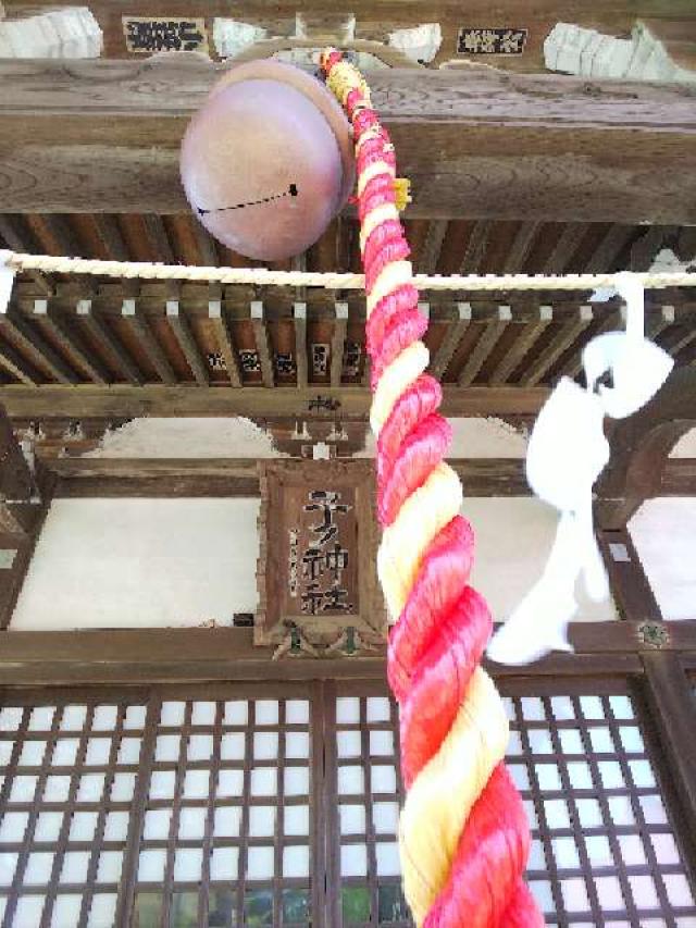 神奈川県横浜市青葉区たちばな台2ｰ22ｰ1 子ノ神社の写真88