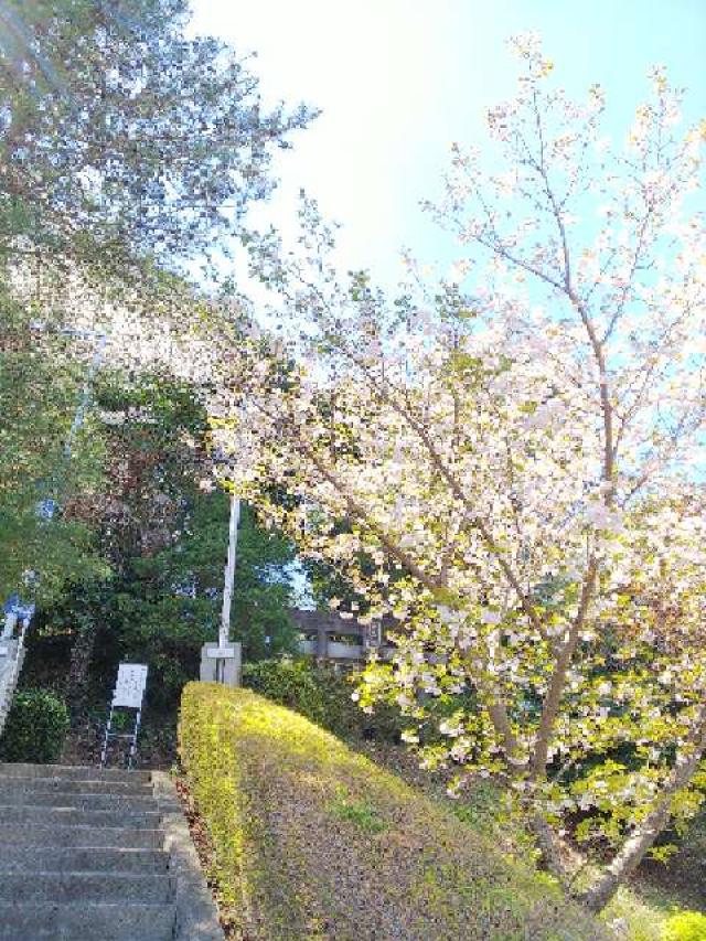 神奈川県横浜市青葉区たちばな台2ｰ22ｰ1 子ノ神社の写真89