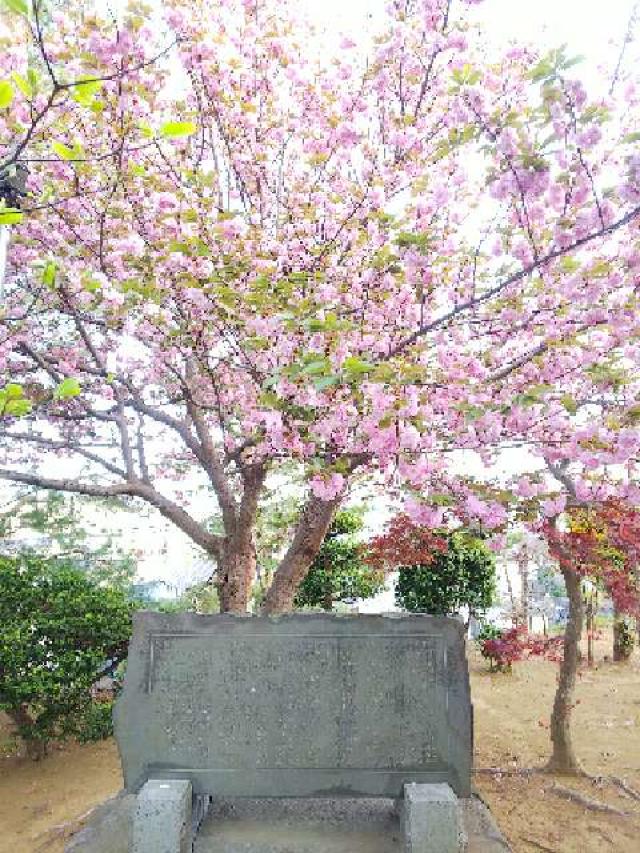 神奈川県横浜市青葉区たちばな台2ｰ22ｰ1 子ノ神社の写真93