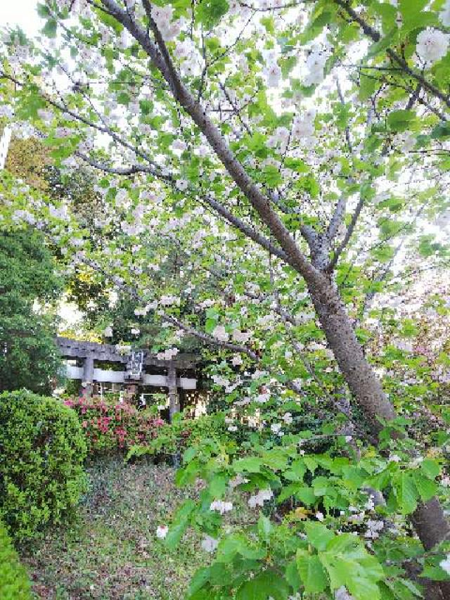 神奈川県横浜市青葉区たちばな台2ｰ22ｰ1 子ノ神社の写真98