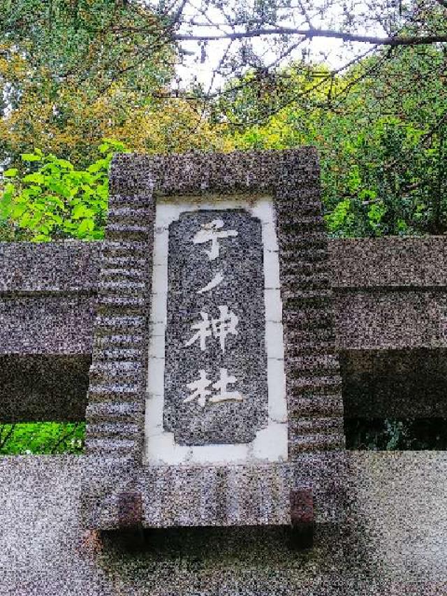神奈川県横浜市青葉区たちばな台2ｰ22ｰ1 子ノ神社の写真99