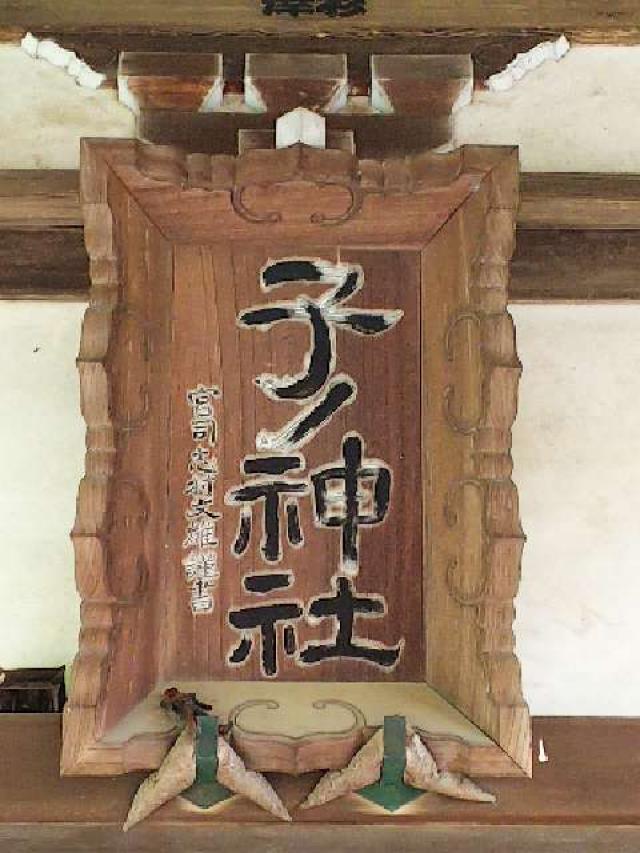 神奈川県横浜市青葉区たちばな台2ｰ22ｰ1 子ノ神社の写真100