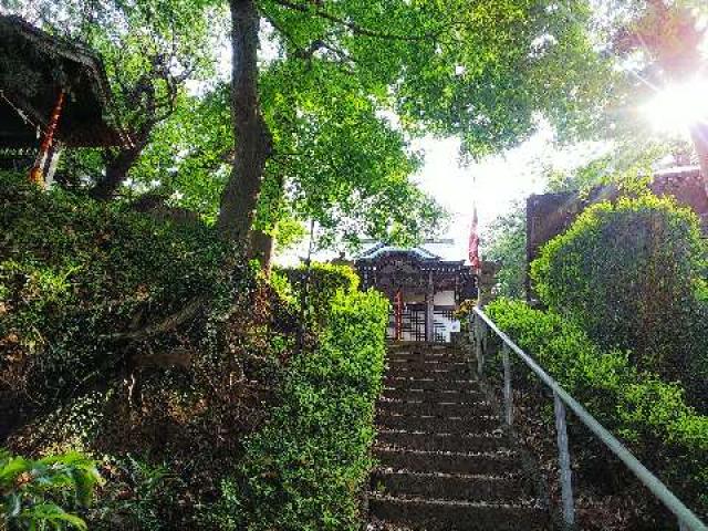 神奈川県横浜市青葉区たちばな台2ｰ22ｰ1 子ノ神社の写真107