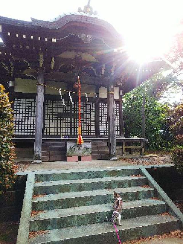 神奈川県横浜市青葉区たちばな台2ｰ22ｰ1 子ノ神社の写真108