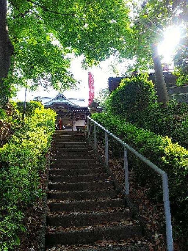 神奈川県横浜市青葉区たちばな台2ｰ22ｰ1 子ノ神社の写真110