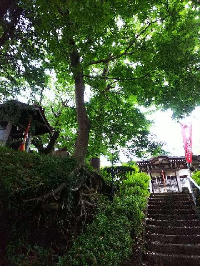 神奈川県横浜市青葉区たちばな台2ｰ22ｰ1 子ノ神社の写真114