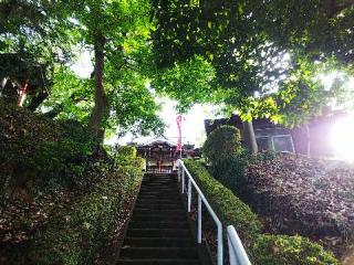 子ノ神社の参拝記録(またたびさん)