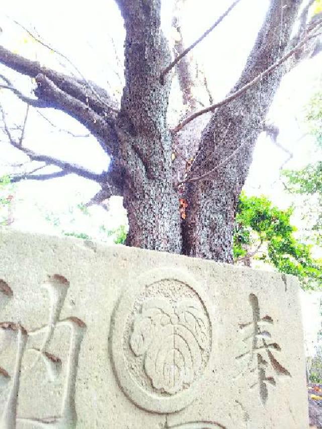 神奈川県横浜市青葉区たちばな台2ｰ22ｰ1子之神社 八幡社の写真13