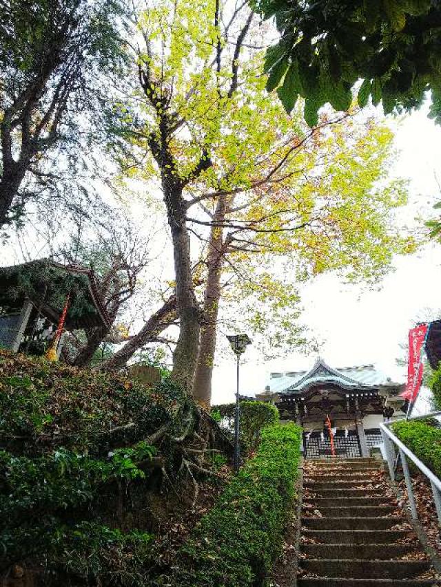 神奈川県横浜市青葉区たちばな台2ｰ22ｰ1子之神社 八幡社の写真15