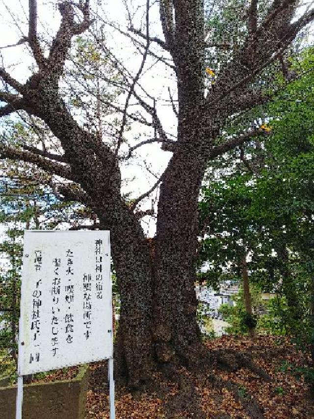 神奈川県横浜市青葉区たちばな台2ｰ22ｰ1子之神社 八幡社の写真18