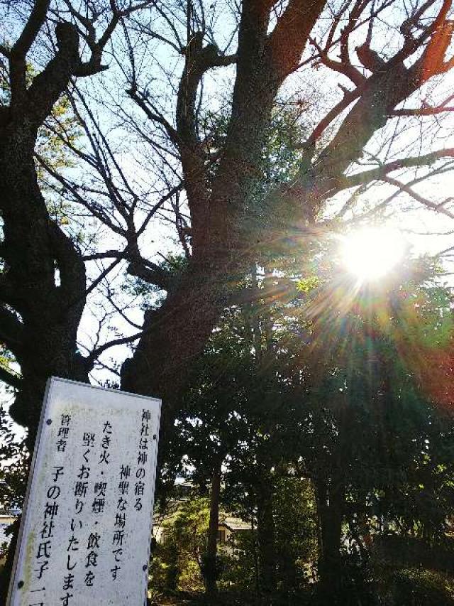 神奈川県横浜市青葉区たちばな台2ｰ22ｰ1子之神社 八幡社の写真30