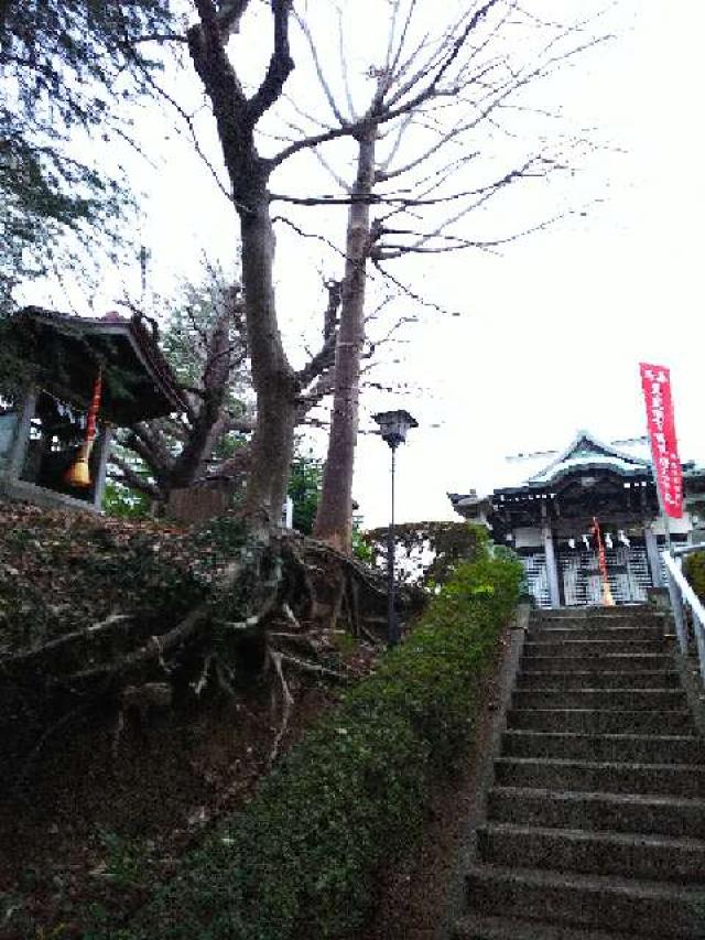 神奈川県横浜市青葉区たちばな台2ｰ22ｰ1子之神社 八幡社の写真38