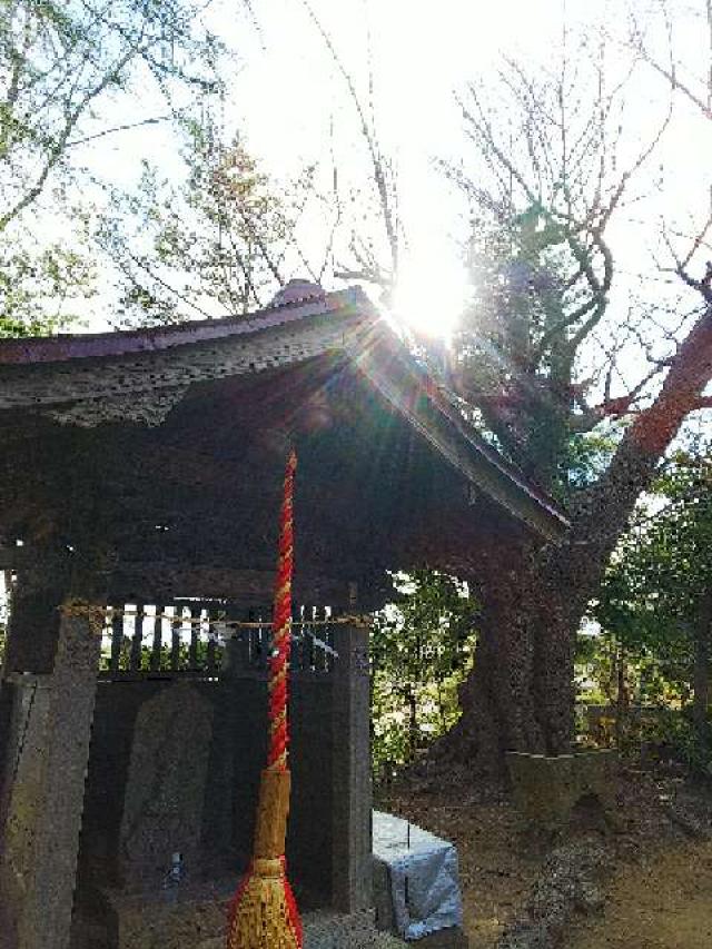神奈川県横浜市青葉区たちばな台2ｰ22ｰ1子之神社 八幡社の写真42