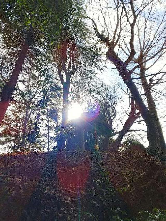 神奈川県横浜市青葉区たちばな台2ｰ22ｰ1子之神社 八幡社の写真44