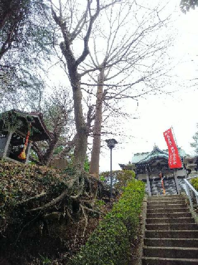 神奈川県横浜市青葉区たちばな台2ｰ22ｰ1子之神社 八幡社の写真59