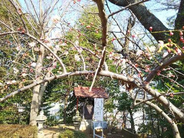 神奈川県横浜市青葉区たちばな台2ｰ22ｰ1子之神社 八幡社の写真69