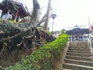 八幡社の参拝記録(またたびさん)