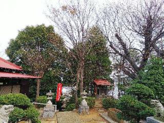 八幡社の参拝記録(またたびさん)