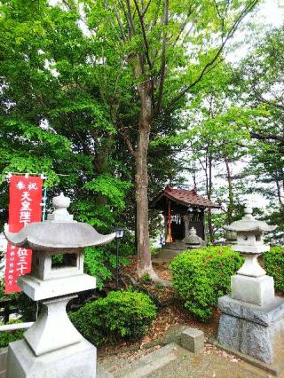 八幡社の参拝記録(またたびさん)