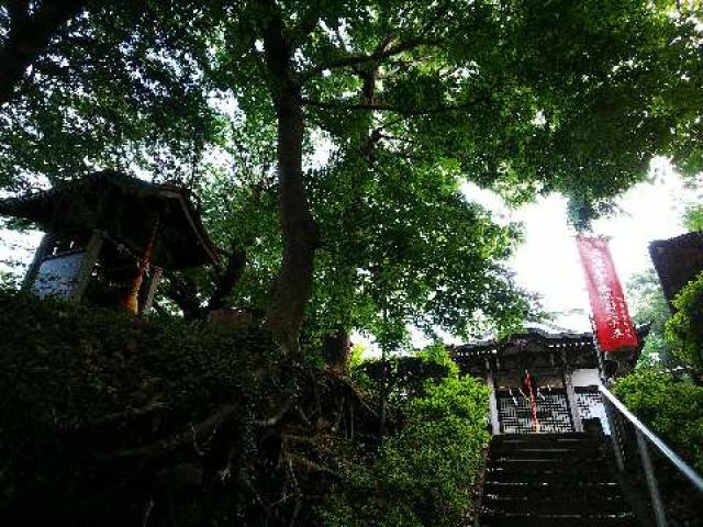 神奈川県横浜市青葉区たちばな台2ｰ22ｰ1子之神社 八幡社の写真91
