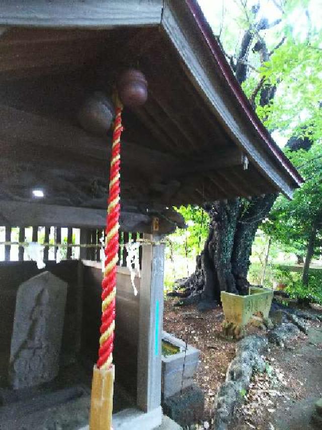 神奈川県横浜市青葉区たちばな台2ｰ22ｰ1子之神社 八幡社の写真101