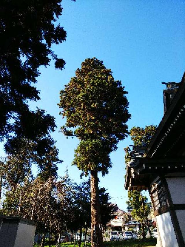 神奈川県横浜市青葉区鴨志田町296 甲神社の写真9