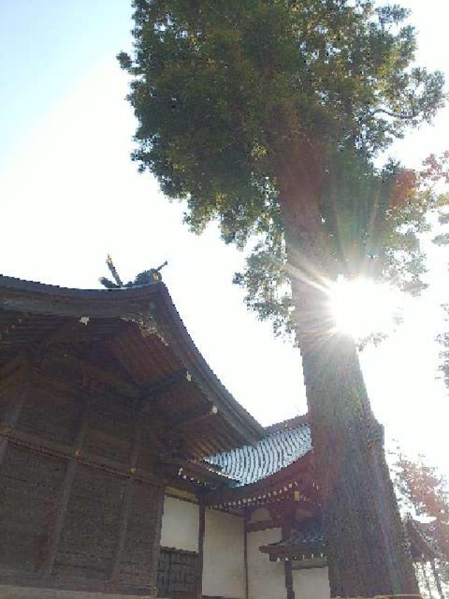 神奈川県横浜市青葉区鴨志田町296 甲神社の写真104