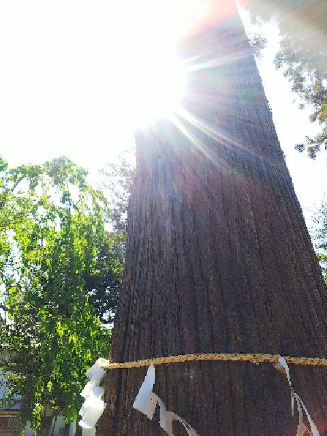 神奈川県横浜市青葉区鴨志田町296 甲神社の写真105