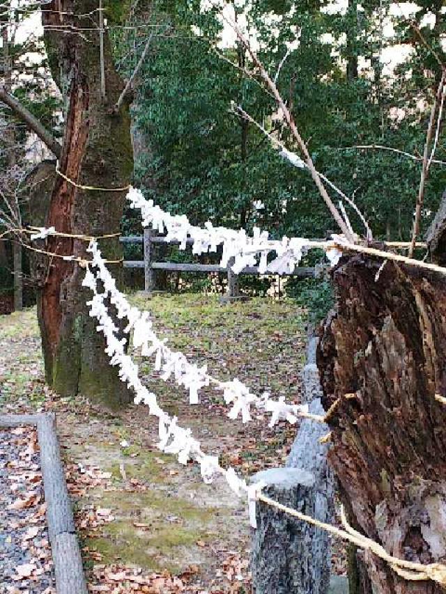 神奈川県横浜市青葉区寺家町880 寺家熊野神社の写真15
